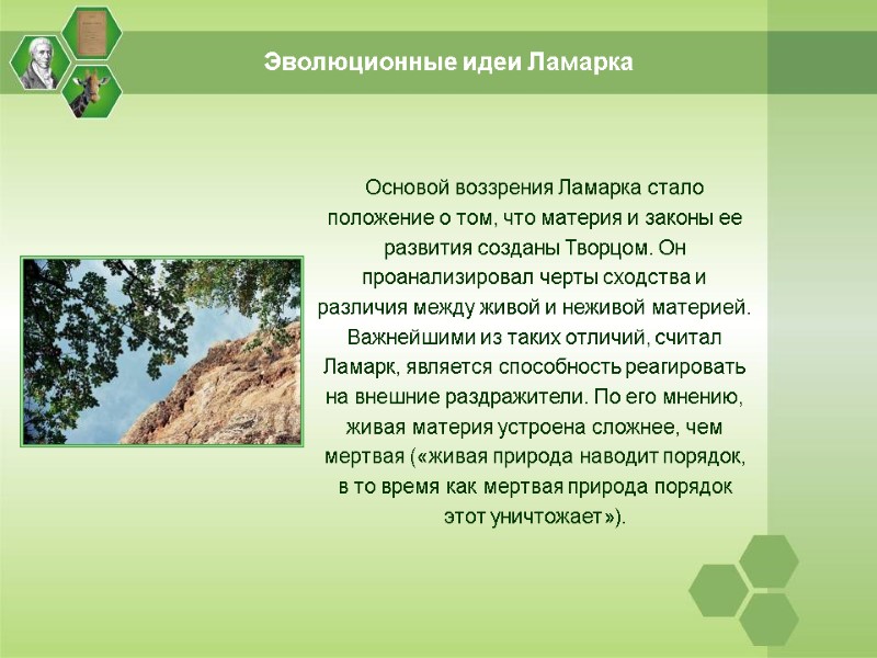 Эволюционные идеи Ламарка Основой воззрения Ламарка стало положение о том, что материя и законы